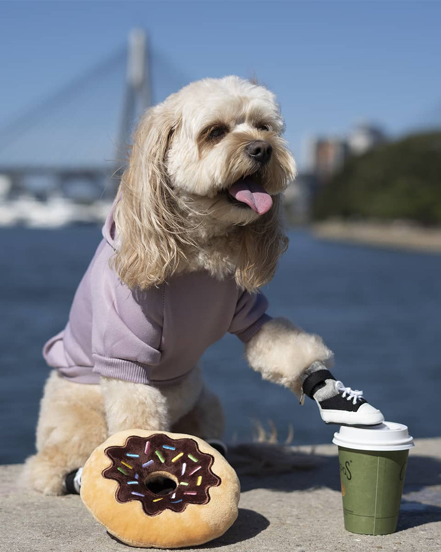 Chocolate Donut Squeaky Toy