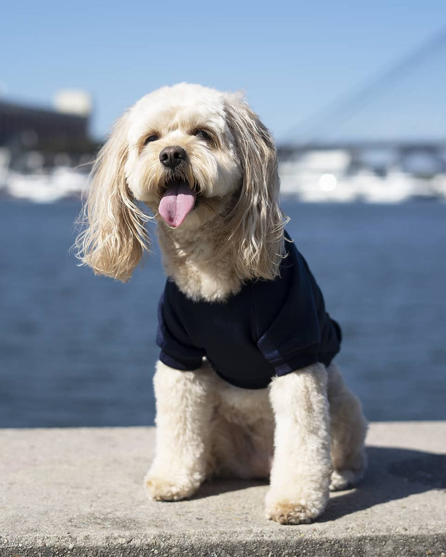 Navy Hoodie