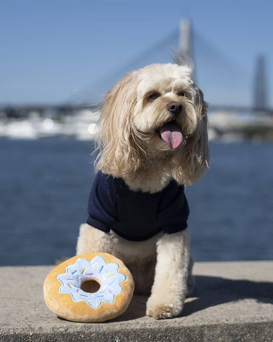 Matcha Donut Squeaky Toy