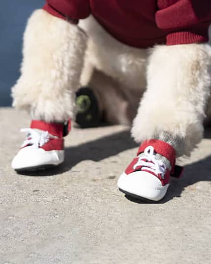 Red Convy Sneakers