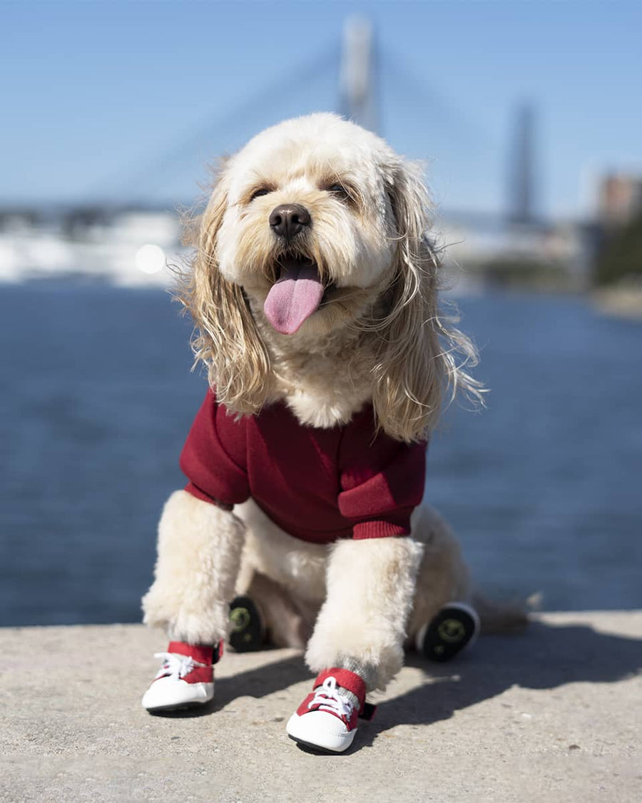 Burgundy Hoodie