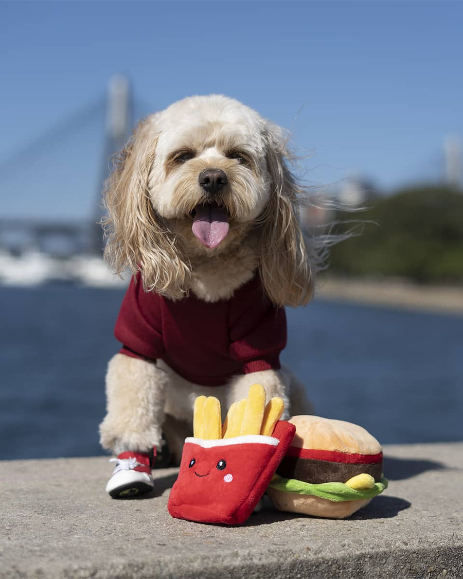 French Fry Squeaky Toy