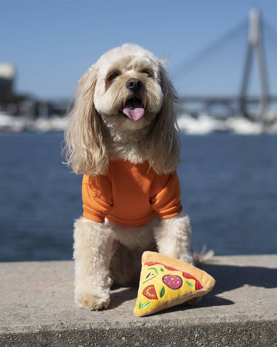 Pizza Squeaky Toy