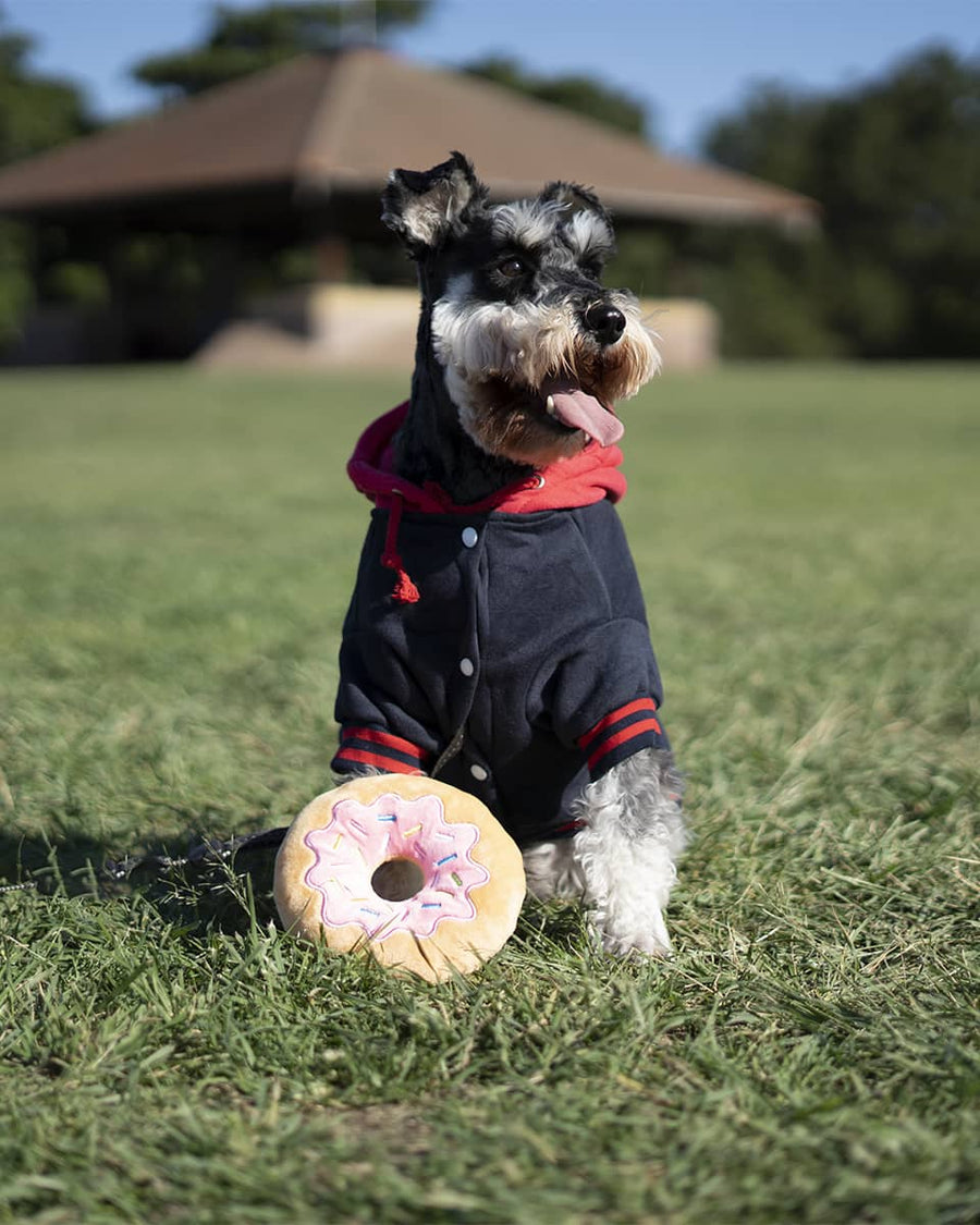 Strawberry Donut Squeaky Toy