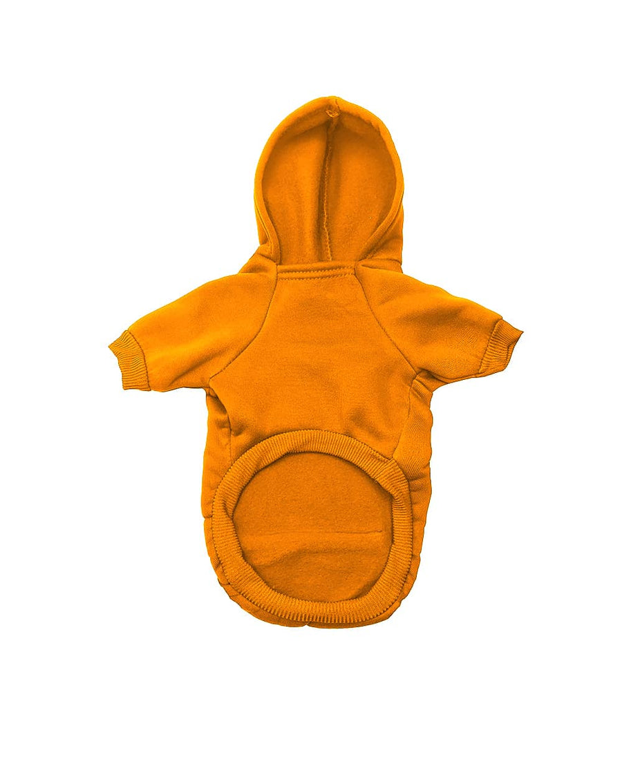 Orange Hoodie